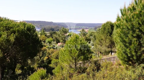 Terreno para Venda em Constancia