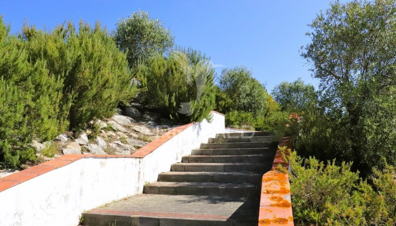 Terreno para Venda em Constancia Foto 10