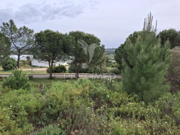 Terreno para Venda em Constancia