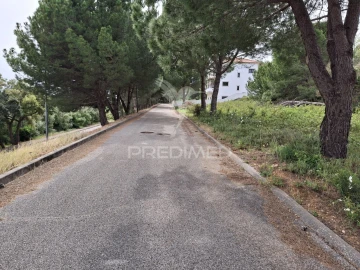 Terreno para Venda em Constancia