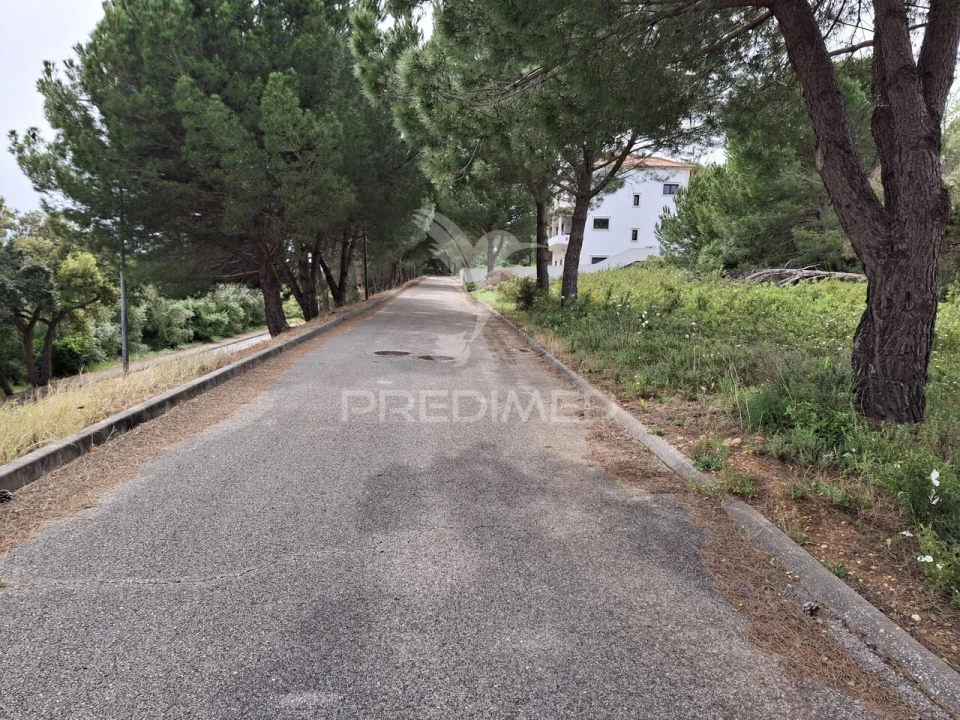 Terreno para Venda em Constancia Foto 6