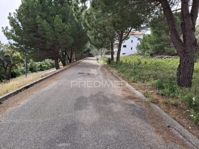 Terreno para Venda em Constancia Foto 6