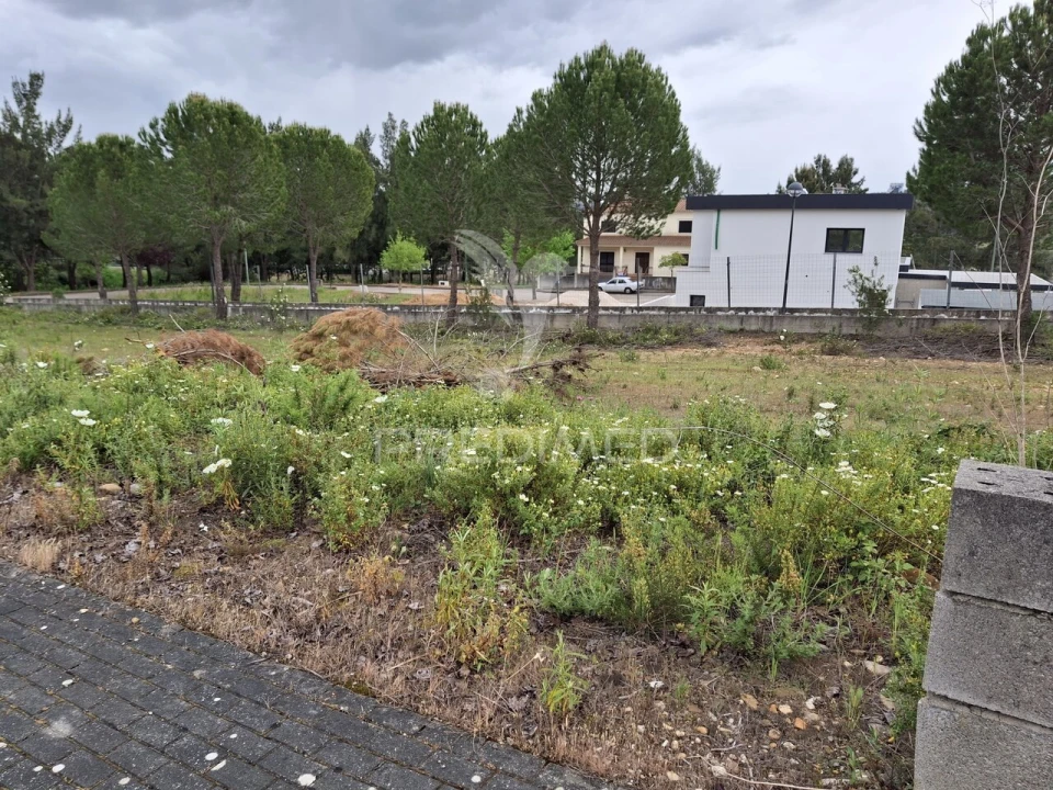 Terreno para Venda em Constancia Foto 4