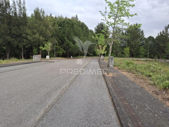 Terreno para Venda em Constancia Foto 5