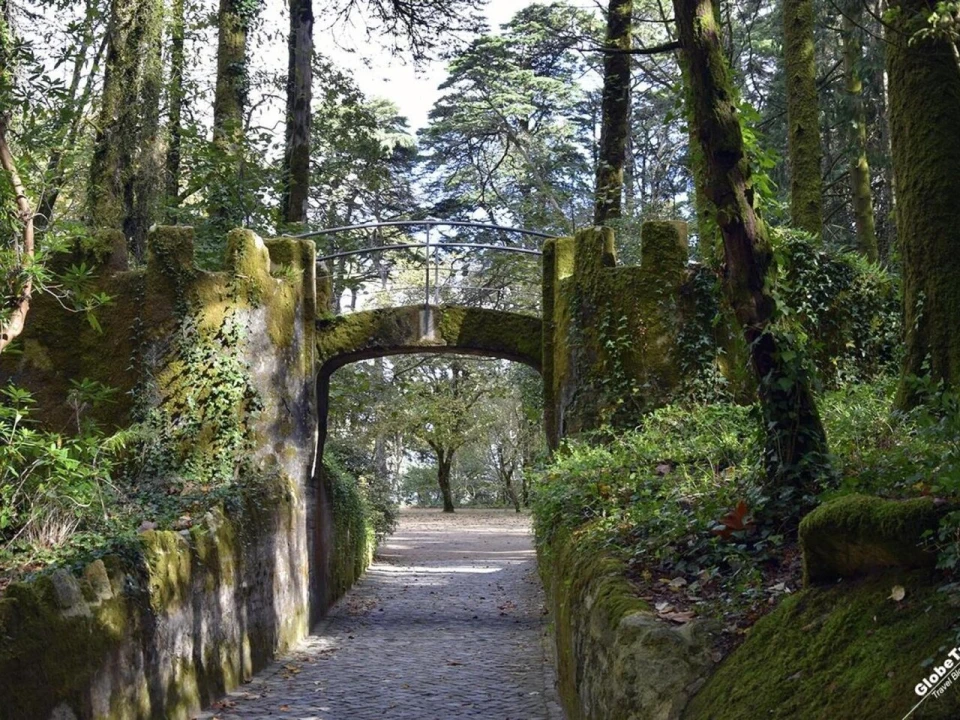 Terreno para Venda em Santa Maria e São Miguel, São Martinho, São Pedro Penaferrim Foto 2