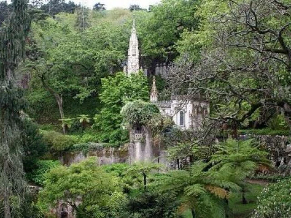 Terreno para Venda em Santa Maria e São Miguel, São Martinho, São Pedro Penaferrim Foto 4
