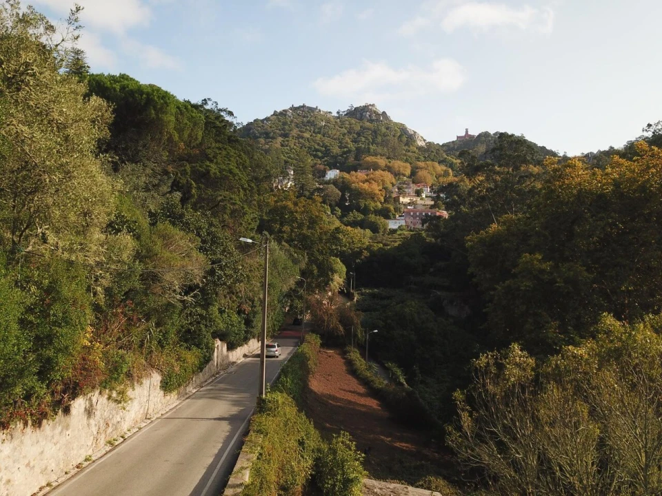 Terreno para Venda em Santa Maria e São Miguel, São Martinho, São Pedro Penaferrim Foto 12