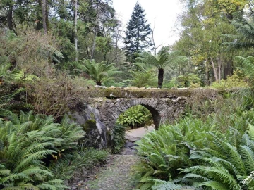 Terreno para Venda em Santa Maria e São Miguel, São Martinho, São Pedro Penaferrim