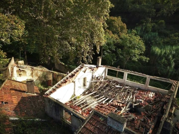 Terreno para Venda em Santa Maria e São Miguel, São Martinho, São Pedro Penaferrim