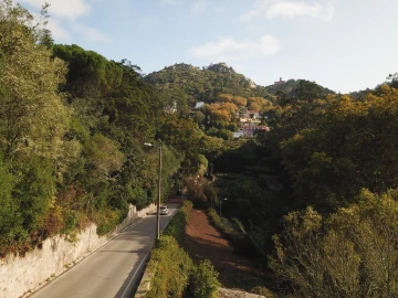 Terreno para Venda em Santa Maria e São Miguel, São Martinho, São Pedro Penaferrim