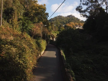 Terreno para Venda em Santa Maria e São Miguel, São Martinho, São Pedro Penaferrim