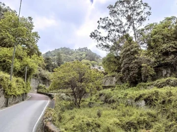Terreno para Venda em Santa Maria e São Miguel, São Martinho, São Pedro Penaferrim