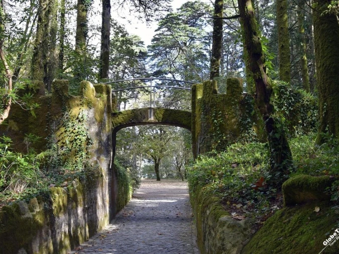 Terreno para Venda em Santa Maria e São Miguel, São Martinho, São Pedro Penaferrim Foto 2