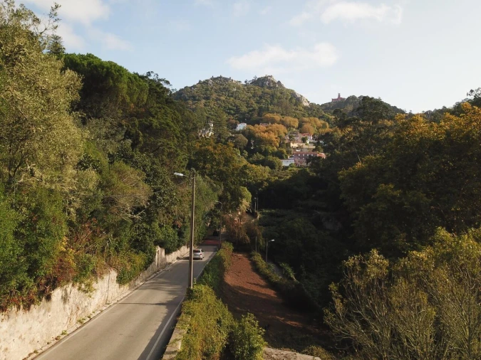 Terreno para Venda em Santa Maria e São Miguel, São Martinho, São Pedro Penaferrim Foto 12