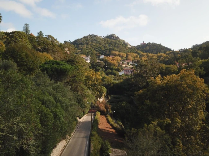 Terreno para Venda em Santa Maria e São Miguel, São Martinho, São Pedro Penaferrim Foto 13
