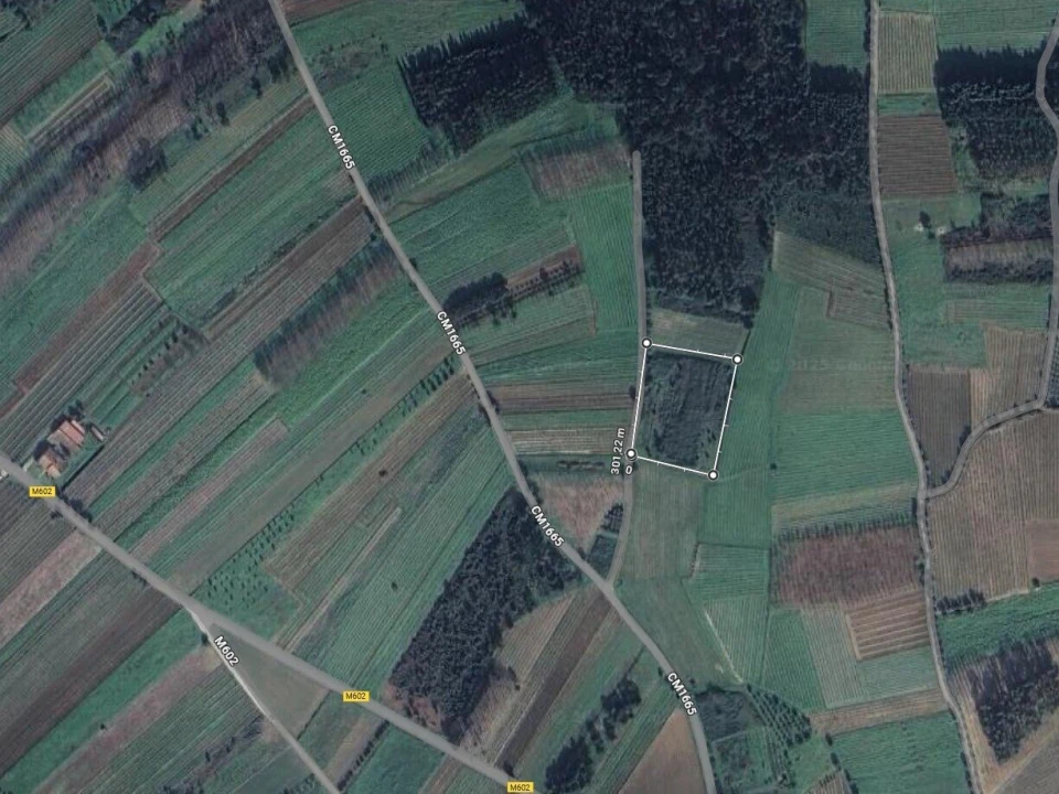 Terreno para Venda em São Lourenço do Bairro Foto 1