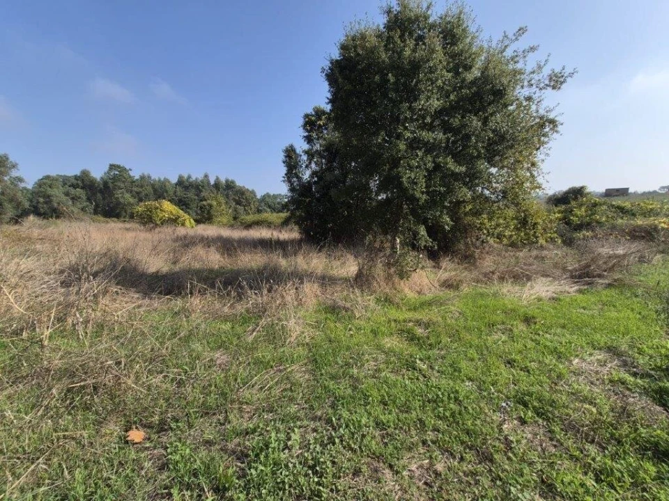 Terreno para Venda em São Lourenço do Bairro Foto 6