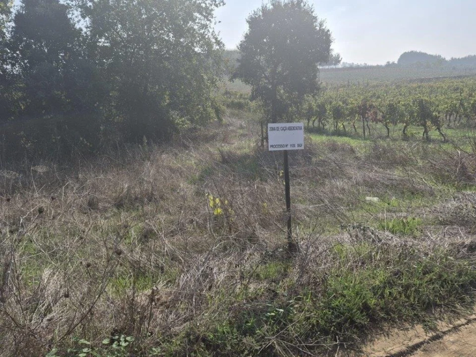 Terreno para Venda em São Lourenço do Bairro Foto 9