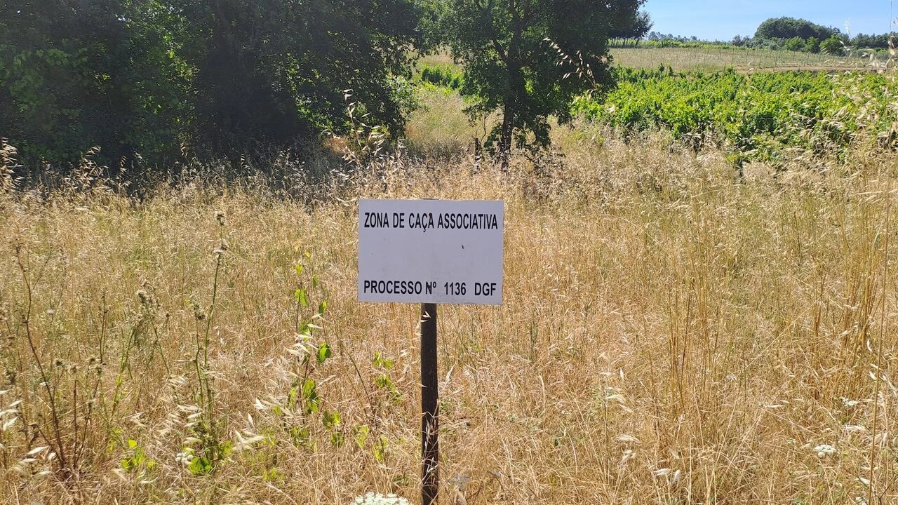 Terreno para Venda em São Lourenço do Bairro Foto 8