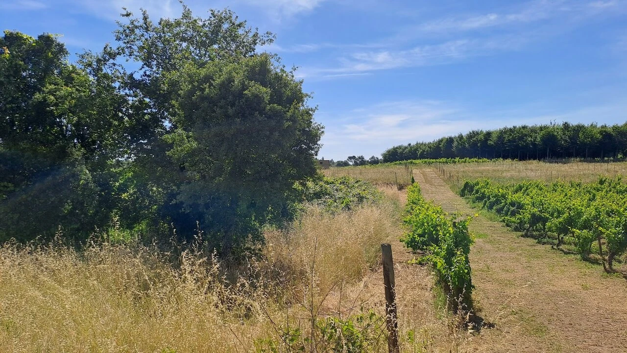 Terreno para Venda em São Lourenço do Bairro Foto 10
