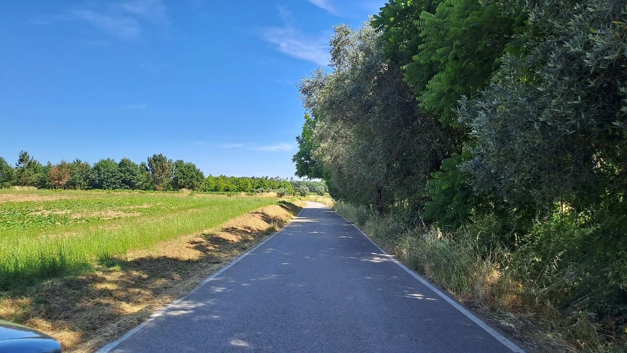 Terreno para Venda em São Lourenço do Bairro Foto 4
