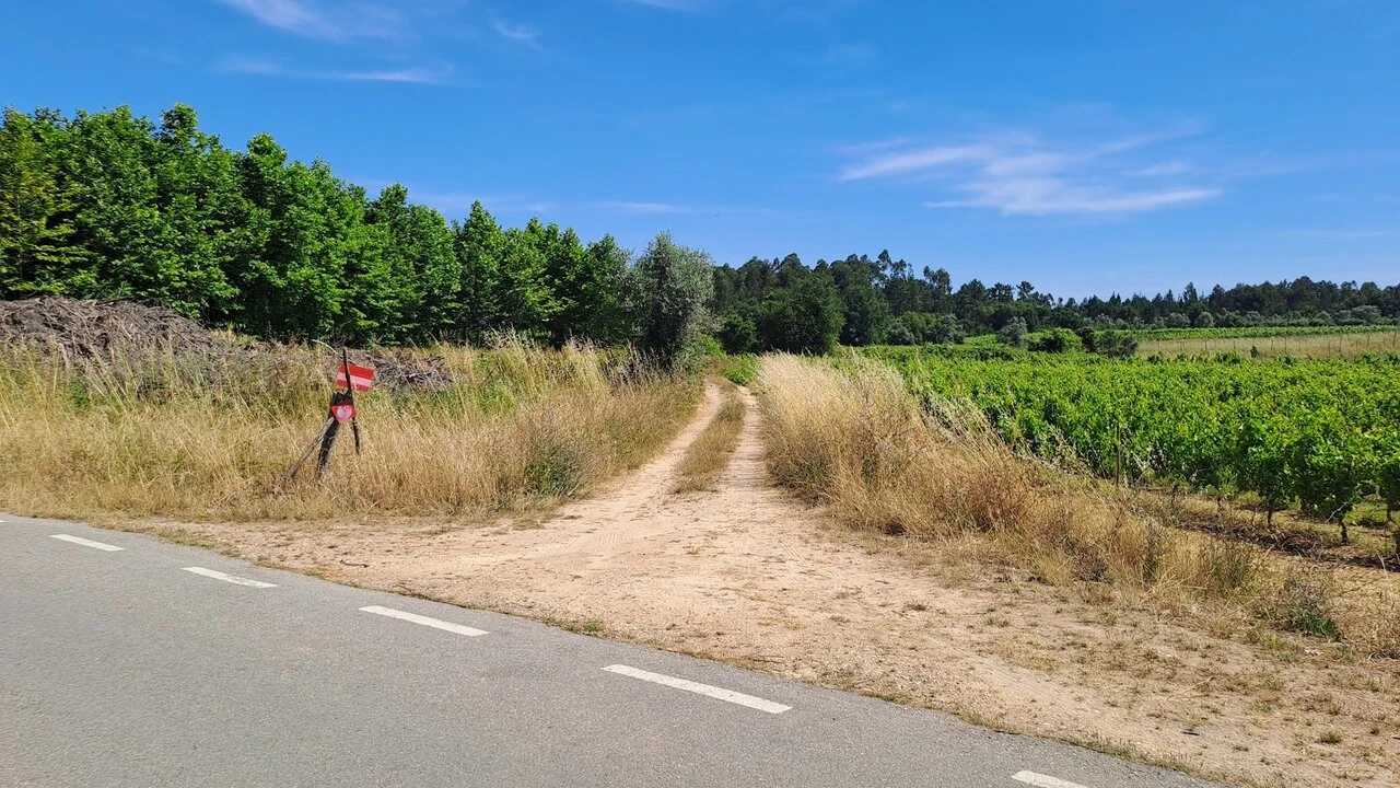 Terreno para Venda em São Lourenço do Bairro Foto 6