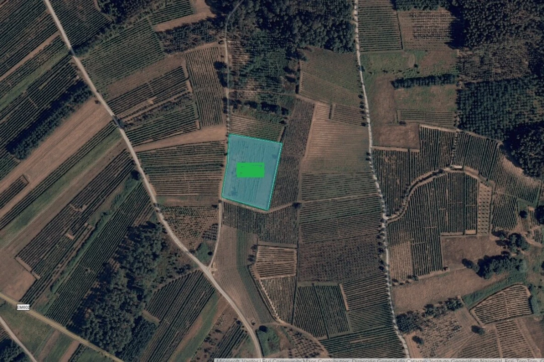 Terreno para Venda em São Lourenço do Bairro Foto 2