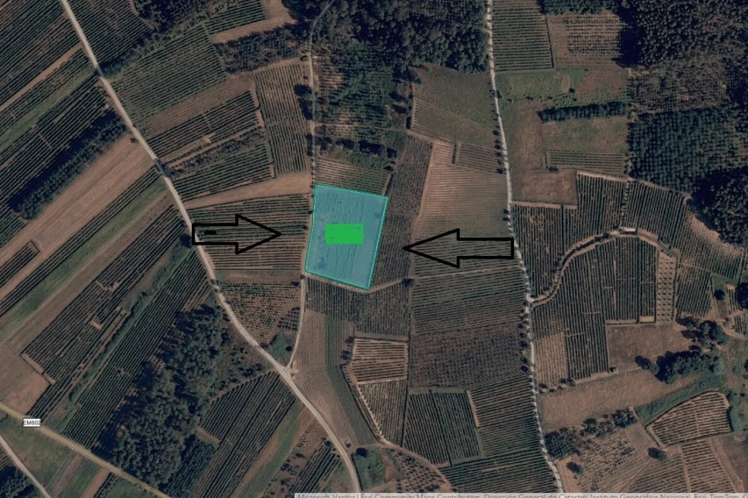 Terreno para Venda em São Lourenço do Bairro Foto 1