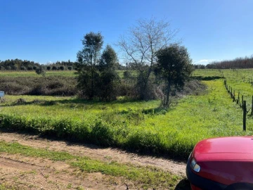 Terreno para Venda em São Lourenço do Bairro