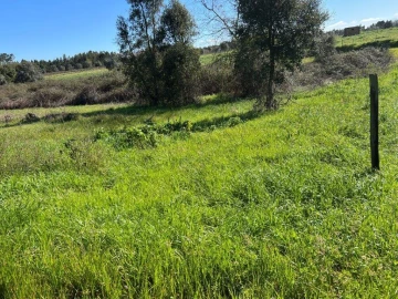 Terreno para Venda em São Lourenço do Bairro