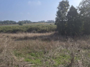Terreno para Venda em São Lourenço do Bairro