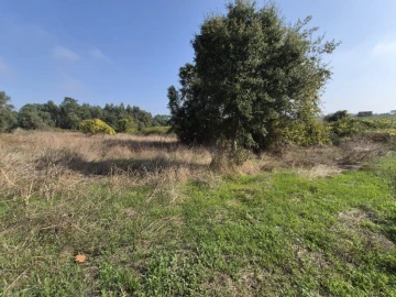 Terreno para Venda em São Lourenço do Bairro