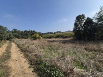 Terreno para Venda em São Lourenço do Bairro