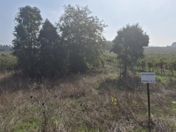 Terreno para Venda em São Lourenço do Bairro