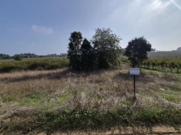 Terreno para Venda em São Lourenço do Bairro