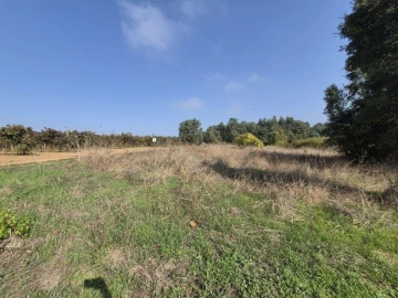 Terreno para Venda em São Lourenço do Bairro