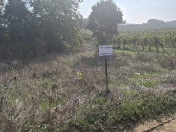 Terreno para Venda em São Lourenço do Bairro