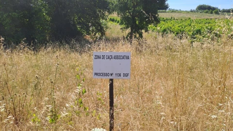 Terreno para Venda em São Lourenço do Bairro