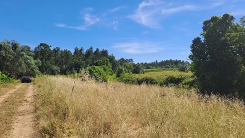 Terreno para Venda em São Lourenço do Bairro