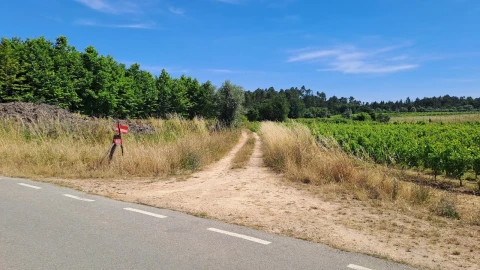 Terreno para Venda em São Lourenço do Bairro