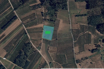 Terreno para Venda em São Lourenço do Bairro