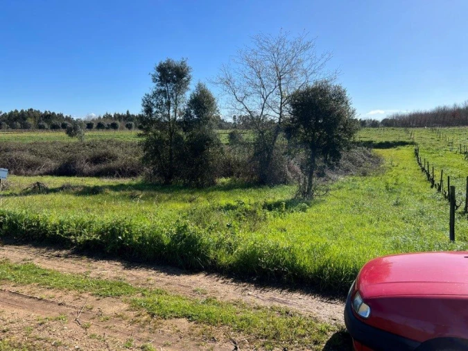 Terreno para Venda em São Lourenço do Bairro Foto 4