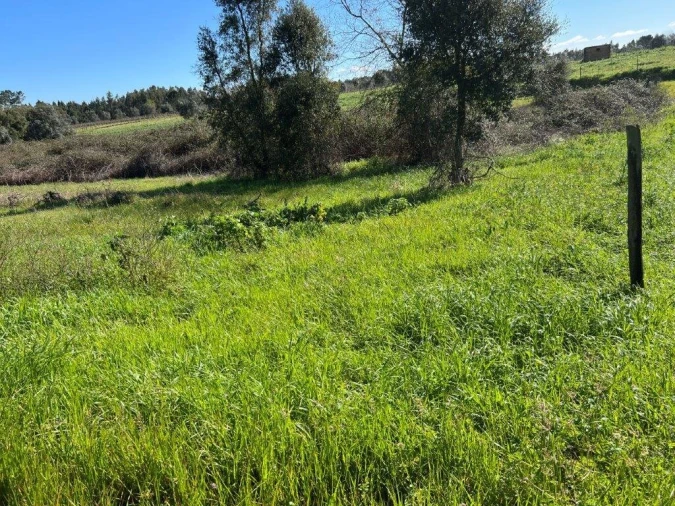 Terreno para Venda em São Lourenço do Bairro Foto 5