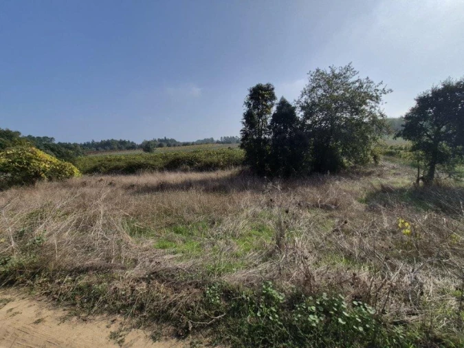 Terreno para Venda em São Lourenço do Bairro Foto 3