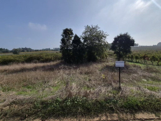 Terreno para Venda em São Lourenço do Bairro Foto 10