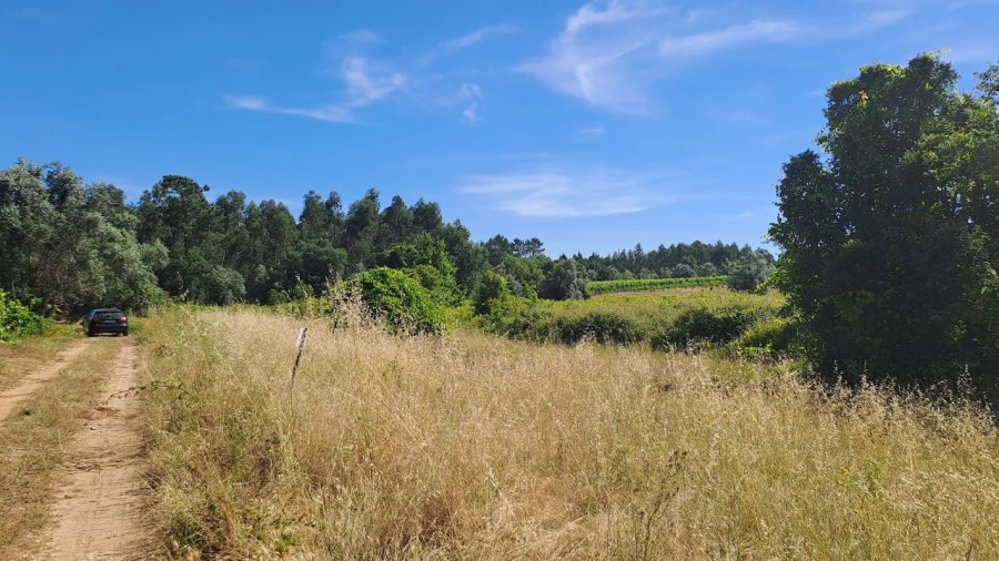 Terreno para Venda em São Lourenço do Bairro Foto 7