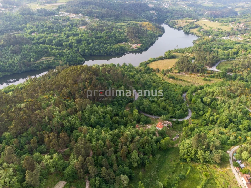 Terreno P/ Prédio para Venda em Várzea, Aliviada e Folhada Foto 1