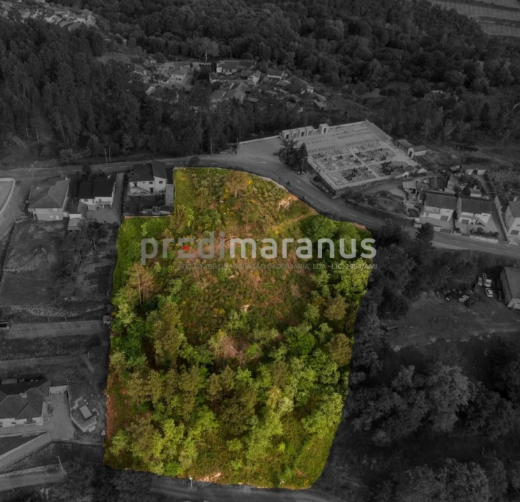 Terreno P/ Prédio para Venda em Várzea, Aliviada e Folhada Foto 10