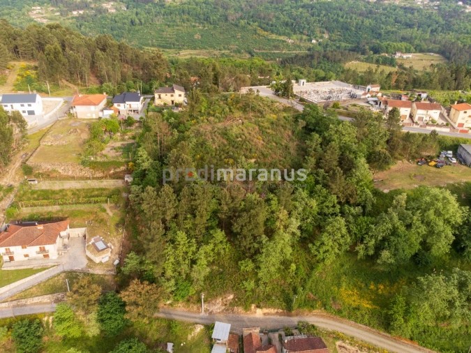 Terreno P/ Prédio para Venda em Várzea, Aliviada e Folhada Foto 7