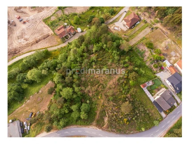 Terreno P/ Prédio para Venda em Várzea, Aliviada e Folhada Foto 9
